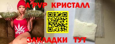 шишки Кандалакша