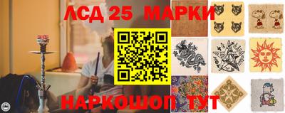 шишки Кандалакша