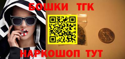 шишки Кандалакша