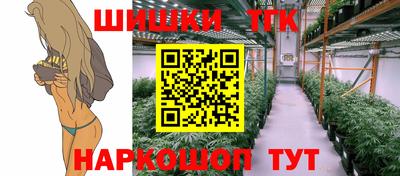 шишки Кандалакша