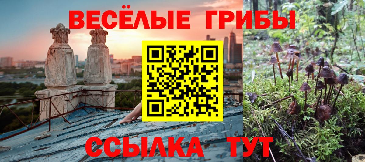 Галлюциногенные грибы GOLDEN TEACHER Кузнецк
