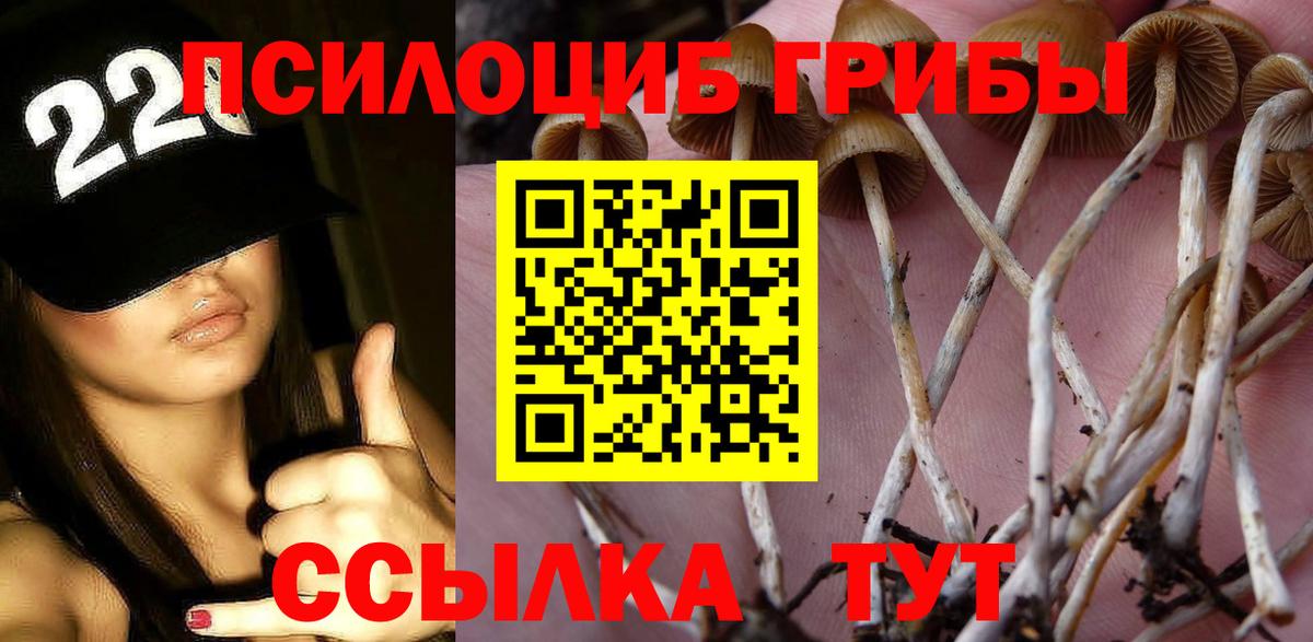Галлюциногенные грибы мицелий  Вход с VPN  Кузнецк 